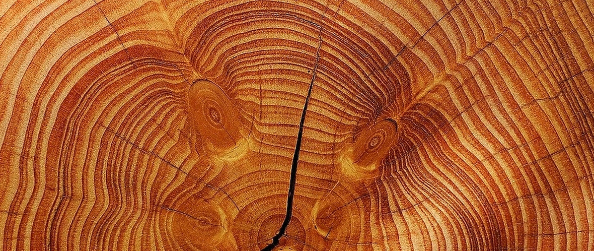 Analfissur: Ursachen, Symptome und Behandlungsoptionen